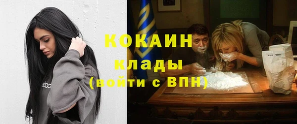 шишки Майский