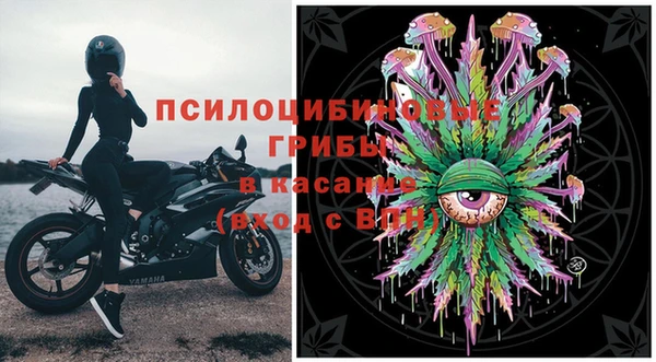 мяу мяу мука Магас