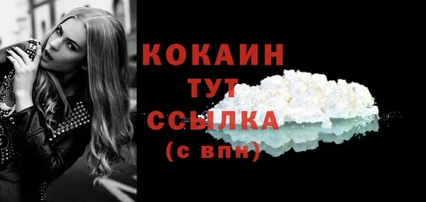 мяу мяу мука Магас