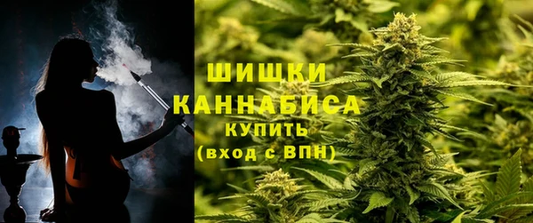 шишки Майский
