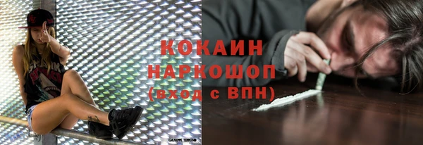 шишки Майский