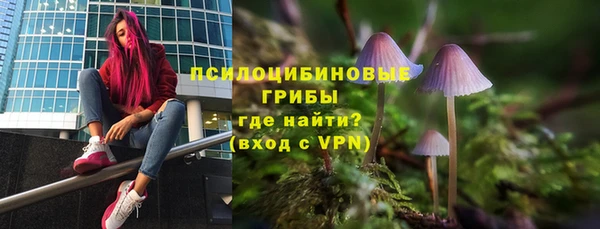 шишки Майский