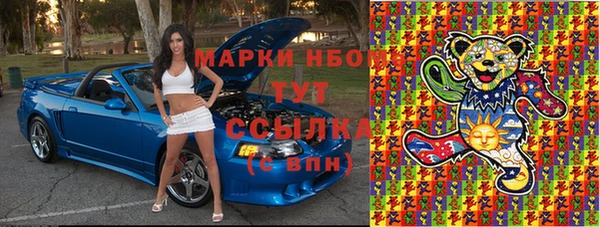 шишки Майский