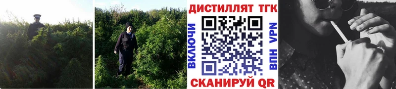 Дистиллят ТГК жижа  mega зеркало  Строитель 
