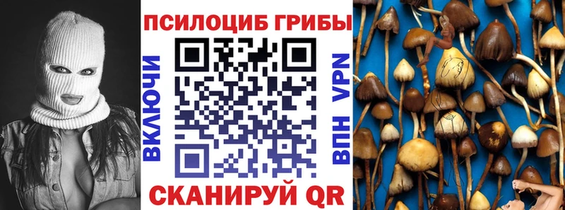 Псилоцибиновые грибы MAGIC MUSHROOMS  KRAKEN   Строитель 