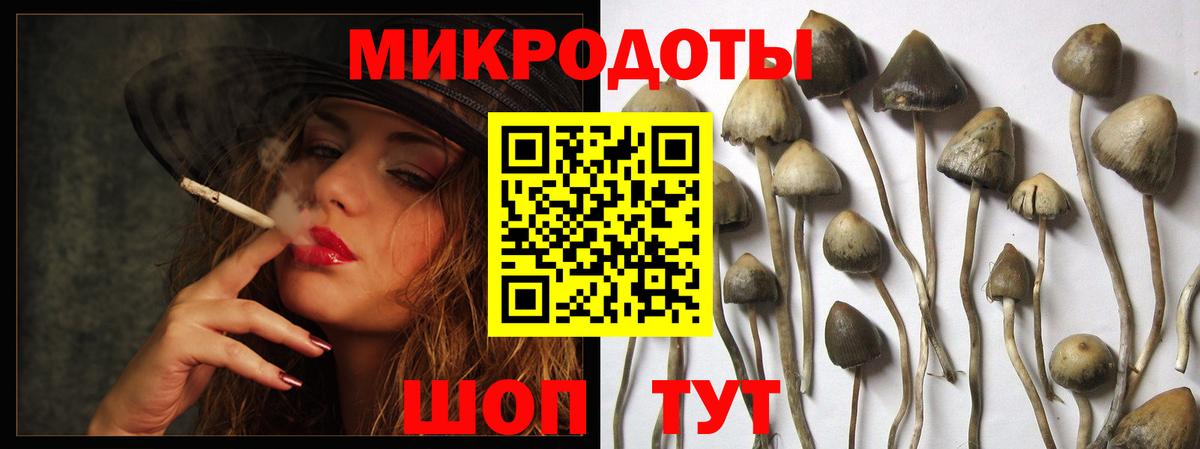 Псилоцибиновые грибы GOLDEN TEACHER Строитель