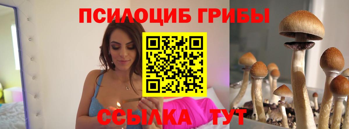 Строитель  Псилоцибиновые грибы мицелий  Вход с VPN 